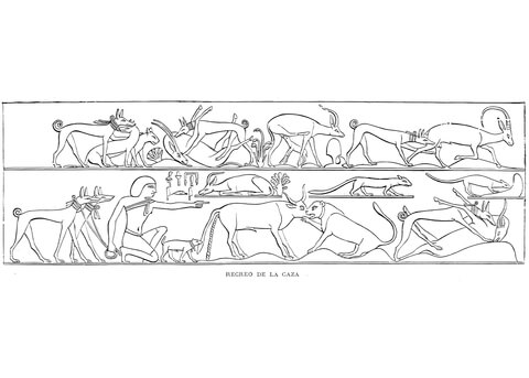 Ancient Egyptian Depiction Of Hunting Coloring Page